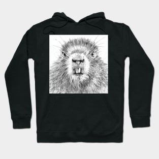 BEAVER pencil portrait .1 Hoodie